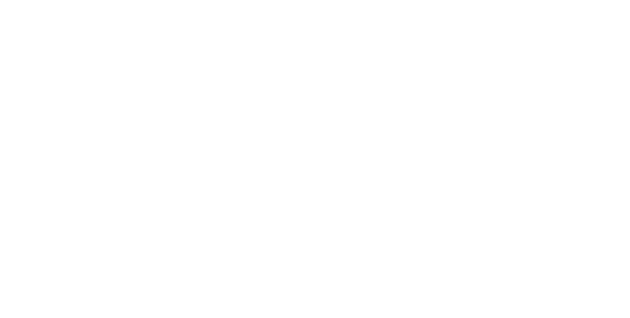 Logo ECSS white